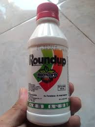 Round up atau biasa disebut petani sebagai rondap. Racun Rumput