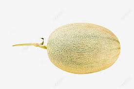 Fortune increases the maximum number of melon slices dropped. Gambar Buah Melon Masih Hidup Blewah Buah Kesehatan Png Transparan Dan Clipart Untuk Unduhan Gratis