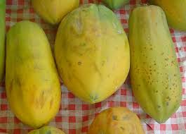 Papaya (carica papaya) fermented extract, chia (salvia hispanica) seed oil, grapefruit (citrus grandis) seed extract, olive (olea europaea) fruit oil, . Papaya Wiktionary