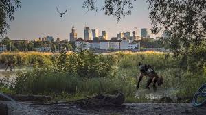 Jul 03, 2021 · a mobile ar game set in the witcher universe will arrive on android and ios later this month. The Witcher Monster Slayer Release Date Monster Hunting Ar Game Launches In July On Android Ios Econotimes
