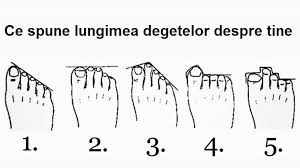 Degetele de la mână (latină digiti manus) reprezintă extremitățile membrelor superioare și sunt în număr de cinci la fiecare mână. Testul Degetelor De La Picioare IÅ£i DÄƒ De Gol Secretele Noobz Ro