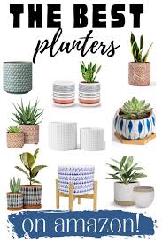 However, finding the best planter or pot entails more than just a quick glance at. Easiest Plants To Take Care Of Cherrington Chatter Plants Easy Plants Planters