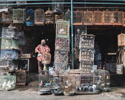 Denpasar Modern Shopping Area