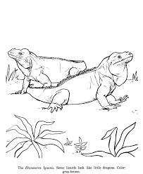 Discover thanksgiving coloring pages that include fun images of turkeys, pilgrims, and food that your kids will love to color. Iguana Coloring Pages Free Printable Coloring Pages Free Coloring Home