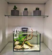 Setting Up Your First Aquarium 4 2020 Aquascaping Akvaryum Baligi Akvaryumlar