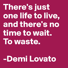 There S Just One Life To Live And There S No Time To Wait To Waste Demi Lovato Post By Redlove On Boldomatic