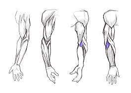 I will be breaking down each of these perspectives and showing how to draw the muscles, step by step. Learn To Draw Arms Once And For All Gvaat S Workshop
