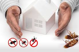 Elephants are regarded as pests by there is no universal definition of what makes a plant a pest. General Pest Control Pest Infestation Safe Pest Control Infestations