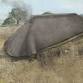 The Carnoustie's Neolithic Halls event image
