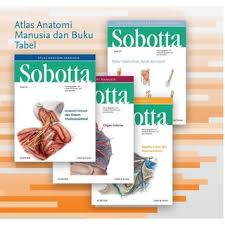 We did not find results for: Mantappu Jiwa Buku Latihan Soal Jerome Polin Sijabat Shopee Indonesia