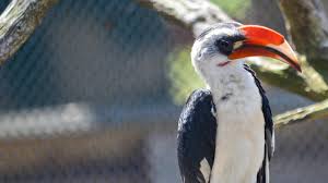 Zoo Community Perks The Maryland Zoo