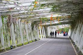 Aesthetic japan, travel aesthetic, blue. What To Do In Taipei For 3 Days Our Top Things To Do And See
