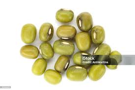 Image result for Vigna radiata