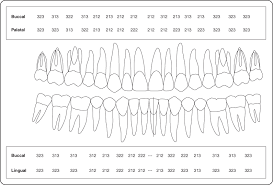 Perio Chart Template Periodontal Chart Template Dental