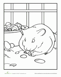 More 100 coloring pages from animal coloring pages category. Hamster Worksheet Education Com