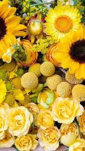 Free Floral Phone Wallpapers Summer Collection In 2020 Flower Phone Wallpaper Flower Wallpaper Phone Wallpaper