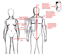 How To Draw Realistic People Full Body How To Images Collection In this tutorial, you will learn how to draw a person, starting first by finding the proportions with a simple frame structure, then building volume and form, and wrapping everything together by drawing in the finer details, including.