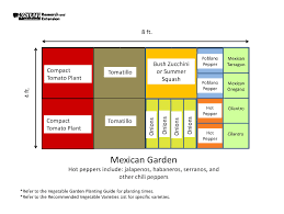 Your plants will respond better to gradual modifications in temperature or condition.place them out in the sun for… how to design a vegetable garden layout. Garden Templates The Demo Garden Blog