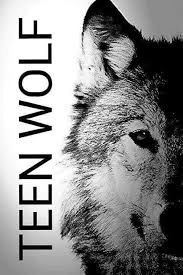 Multiple sizes available for all screen sizes. Teen Wolf Wallpaper Wolf Teen Wolf Wallpaper For Phone 480x720 Download Hd Wallpaper Wallpapertip