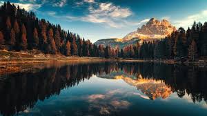 Instalar live wallpapers en su pc con windows o mac laptop / desktop, deberá descargar e instalar . Live Wallpapers Pc Top Free Live Wallpaper Windows 10 24wallpapers