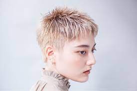 大人可愛いベリーショート カットやカラーで雰囲気変わるおすすめヘアカタログ hair ヘア ピクシーショート ヘアスタイル