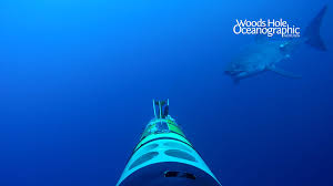 Download Whoi S Free Ocean Themed Virtual Backgrounds Woods Hole Oceanographic Institution