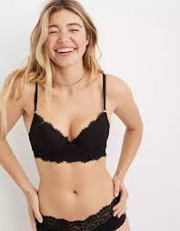 Aerie Real Power Plunge Push Up Eyelash Lace Bra