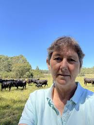 Traps halt Otway feral pig problems