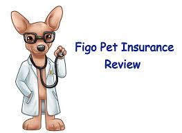 Check out what 640 people have written so far, and share your own experience. Figo Pet Insurance Company Review