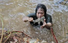 Pakar Ungkap Strategi Untuk Mengtasi Invasi Ikan Sapu-Sapu di Sungai Jakarta