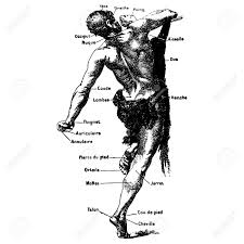 • different parts of the face with pictures. Male Body Where Ar The Parts Which Male Body Parts Do Girls Find The Most Attractive Youtube Learn More About The Composition Form And Physical Adaptations Of The Human Body Ilovemakeupxoxo