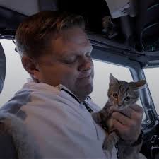 She was the only survivor kitten found few days back near the airport. She  is now litter trained and ready for adoption.