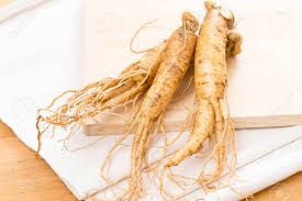 As tonic for invigoration and fortification in times of fatigue and debility, for declining capacity for work and concentration, also during convalescence. Fresh Ginseng Root Stock Photo Picture And Royalty Free Image Image 75986766