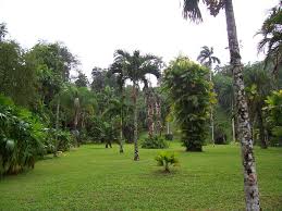 Jamaica Information Service