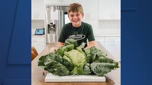 Westlake 3rd Grader Wins 1 000 For Growing 8 Pound Cabbage
