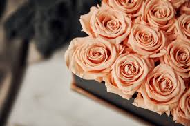 We offer a wide range of styles, designs, sizes, color options & cover materials to choose from. Fleurs De Paris Home Facebook