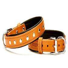 doggie comfort rivet desenli deri kopek boyun tasmasi sbt 2011 m kamel 8680782100604 amazon pet center kopek yorkshire terrier amazonlar