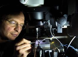 Lessons from cow eyes