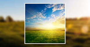 Larry (Harvey) Olsen Obituary May 11, 2021