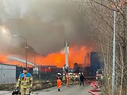 De club heette eerder ook fc den bosch'67 en bvv den bosch. 3csrli8fdqqphm