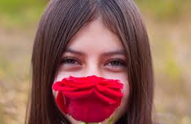 Imagem gratuita: pétalas de rosa vermelha, flora, flor