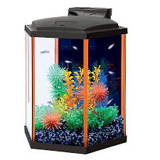 Aqueon Neo Glow Hexagon Starter Kit Fish Starter Kits Petsmart Aquarium Kit Aquarium Betta Fish Tank