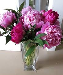 Heaven scent flowers proudly serves oakville and surround areas. Heaven Scent Flowers Halton Ontario 1 905 469 5657