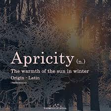 Apricity Words Apricity In 2020 Unusual Words Rare Words Aesthetic Words