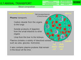 Check spelling or type a new query. Microscope Drawing Of Blood Smear Ppt Video Online Download