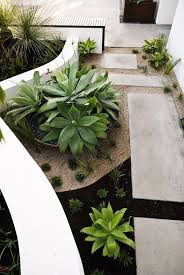 Planting Ideas Front Yard Perth Succulent Landscape Design Front Garden Design Landscape Design