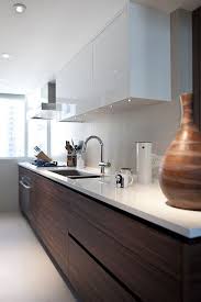 The natural walnut kitchen cabinets, especially persian walnut and black walnut varieties, have a fine, dense, and hard grained appearance. Luscious Walnut