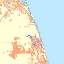 Image result for Lipocarpha atra