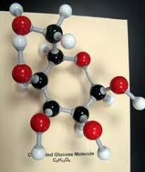 Building An Organic Molecule Organic Molecules Molecule Model Interactive Science Activities
