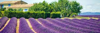 Charmantes haus mit tollem panorama. Ferienwohnungen Ferienhauser Provence Casamundo